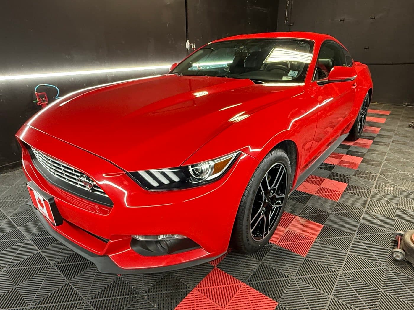 Red Ford Mustang gleaming front three-quarter after a full detail at PitStop & Go
