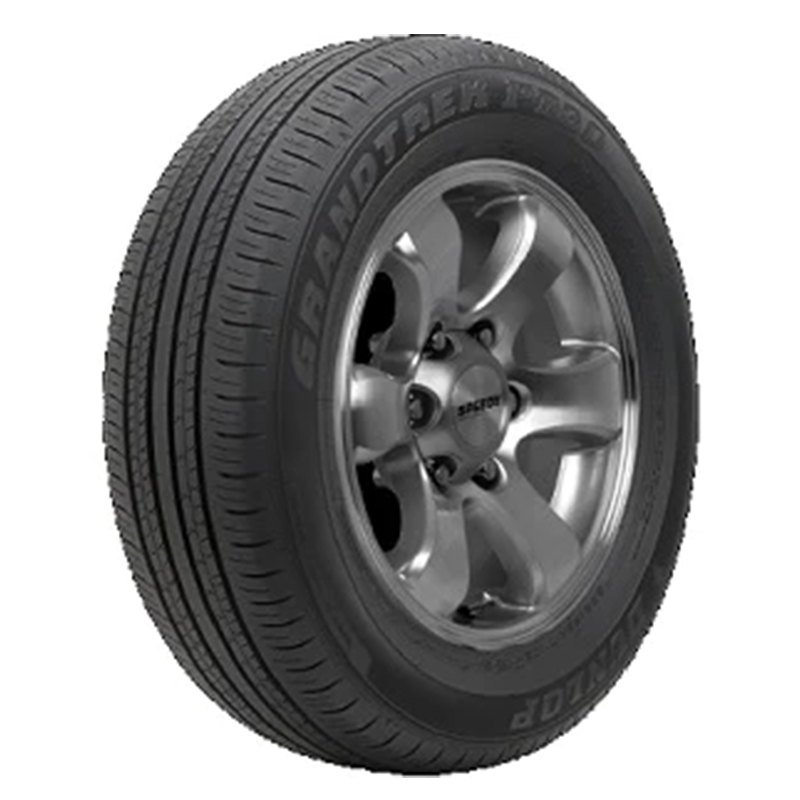 Dunlop GRANDTREK PT30